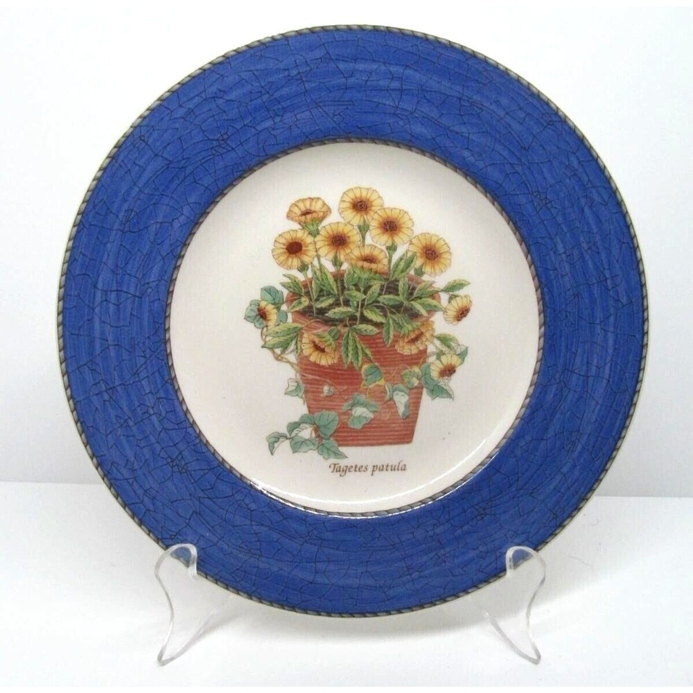 Wedgwood Queen's Ware England Sarah's Garden Tagetes patula Salad Plate 8"